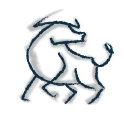 Magic Bison Logo
